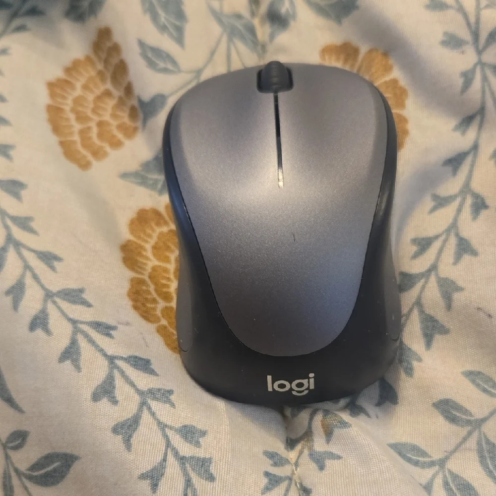 Logitech Compact Wireless Mouse - Silver and Blue